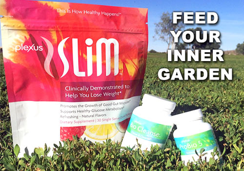 gut health triplex intro image